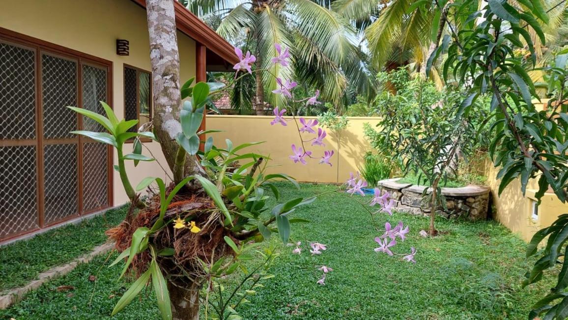 El-Nivasa Villa In Weligama Zewnętrze zdjęcie
